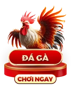 Trang chủ 5 da ga