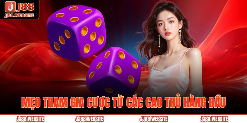 Hướng Dẫn Chơi Tài Xỉu Jj88 Chi Tiết Với Chuẩn Xác Nhất 4 Mẹo tham gia cược từ các cao thủ hàng đầu